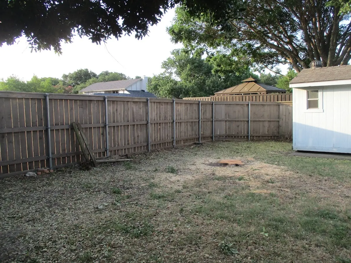 Cleared yard after professional tree removal in Pocopson